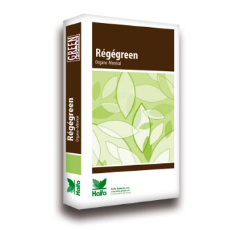 03-12-06+5MG CPX REGEGREEN