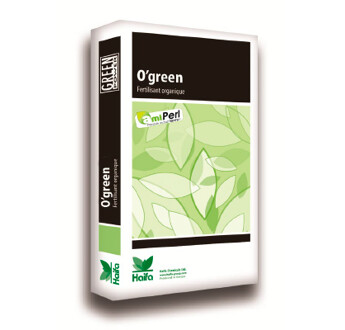 07-04-07+2MG CPX O'GREEN