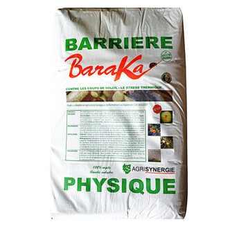 BARAKA