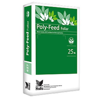 22-08-22+2MG POLYFEED
