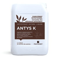 ANTYS K