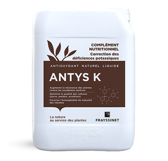 ANTYS K
