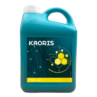 KAORIS 1