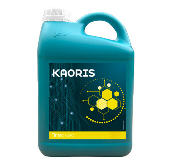KAORIS 1