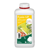 FYSIO UP