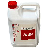 INTRAGREEN FE MN GP