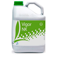 VIGOR NK