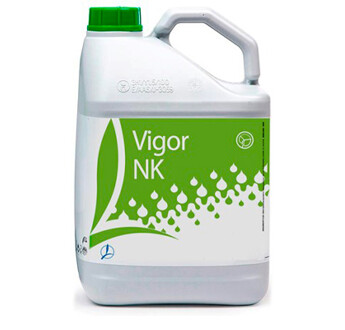 VIGOR NK
