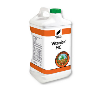 VITANICA MC