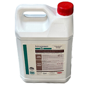 INTRAGREEN ATTIS GP