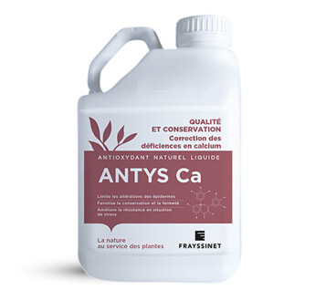ANTYS CA