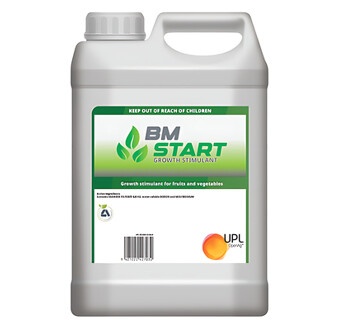 BM START
