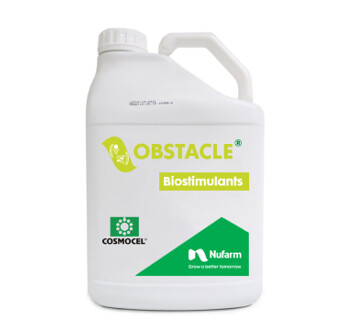 OBSTACLE