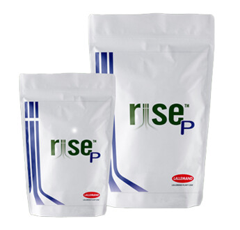RISE P POUDRE