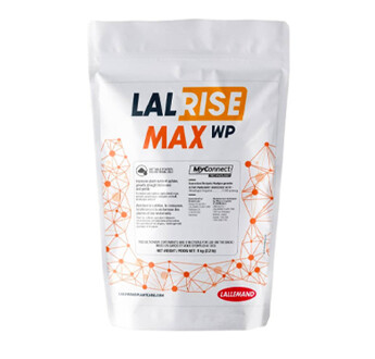 LALRISE MAX WP