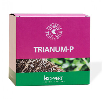 TRIANUM-P