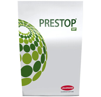 PRESTOP WP
