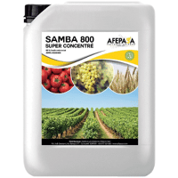 SAMBA 800 SUPER CONCENTRE