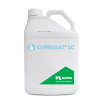 CUPROXAT SC