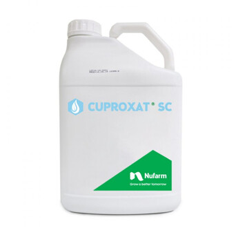 CUPROXAT SC