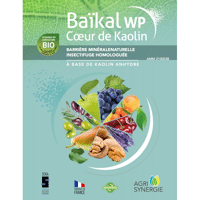 BAIKAL WP