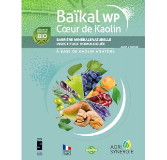 BAIKAL WP