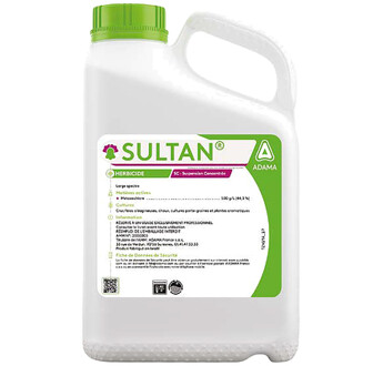 SULTAN