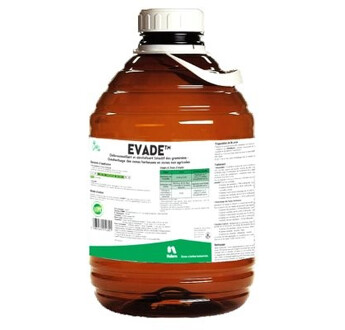 EVADE