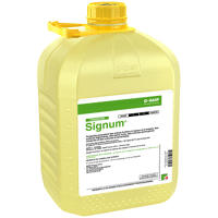 SIGNUM