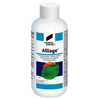 ALLIAGE