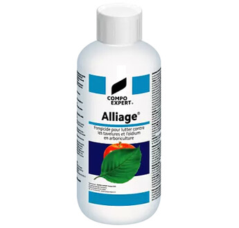 ALLIAGE