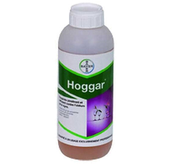 HOGGAR