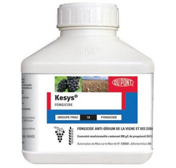 KESYS