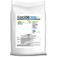 KOCIDE 2000