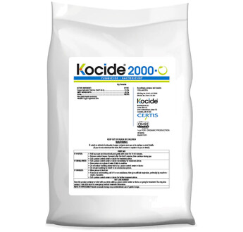 KOCIDE 2000