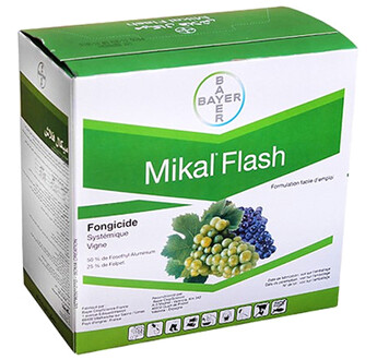 MIKAL FLASH