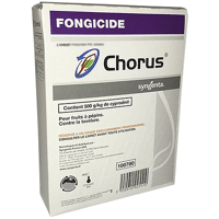 CHORUS