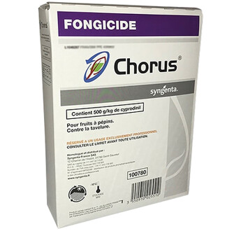 CHORUS
