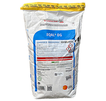 EQAL DG