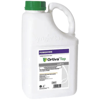 ORTIVA TOP