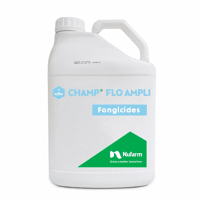CHAMP FLO AMPLI