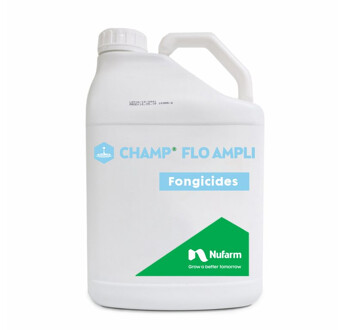 CHAMP FLO AMPLI