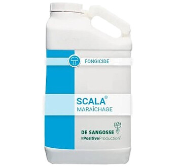 SCALA