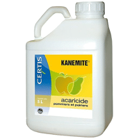 KANEMITE