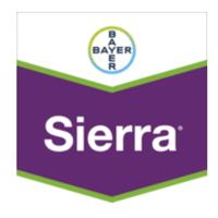SIERRA
