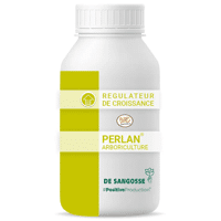 PERLAN