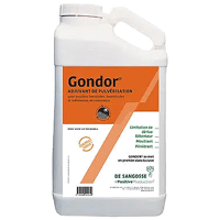 GONDOR