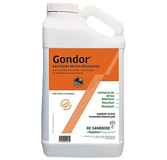 GONDOR