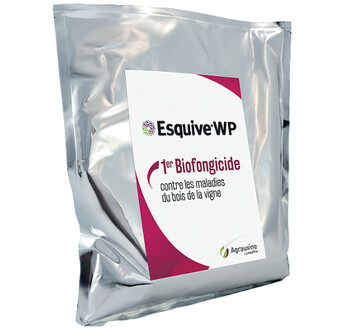 ESQUIVE WP