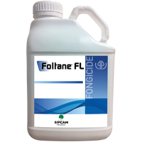 FOLTANE FL